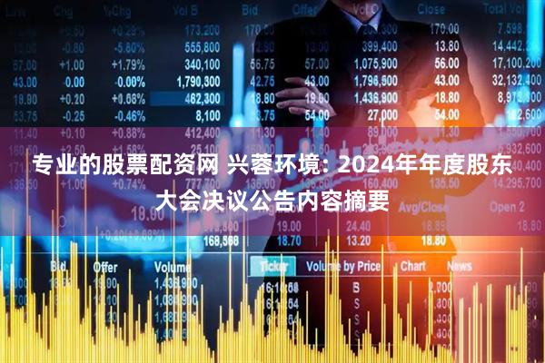专业的股票配资网 兴蓉环境: 2024年年度股东大会决议公告内容摘要