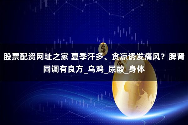 股票配资网址之家 夏季汗多、贪凉诱发痛风？脾肾同调有良方_乌鸡_尿酸_身体