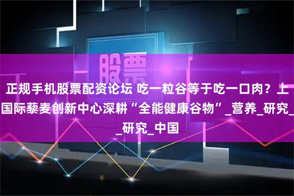 正规手机股票配资论坛 吃一粒谷等于吃一口肉？上海建国际藜麦创新中心深耕“全能健康谷物”_营养_研究_中国