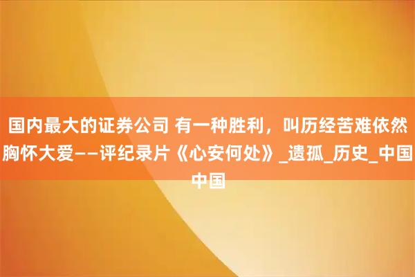 国内最大的证券公司 有一种胜利，叫历经苦难依然胸怀大爱——评纪录片《心安何处》_遗孤_历史_中国